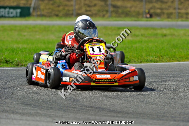 DSC_ (678).jpg